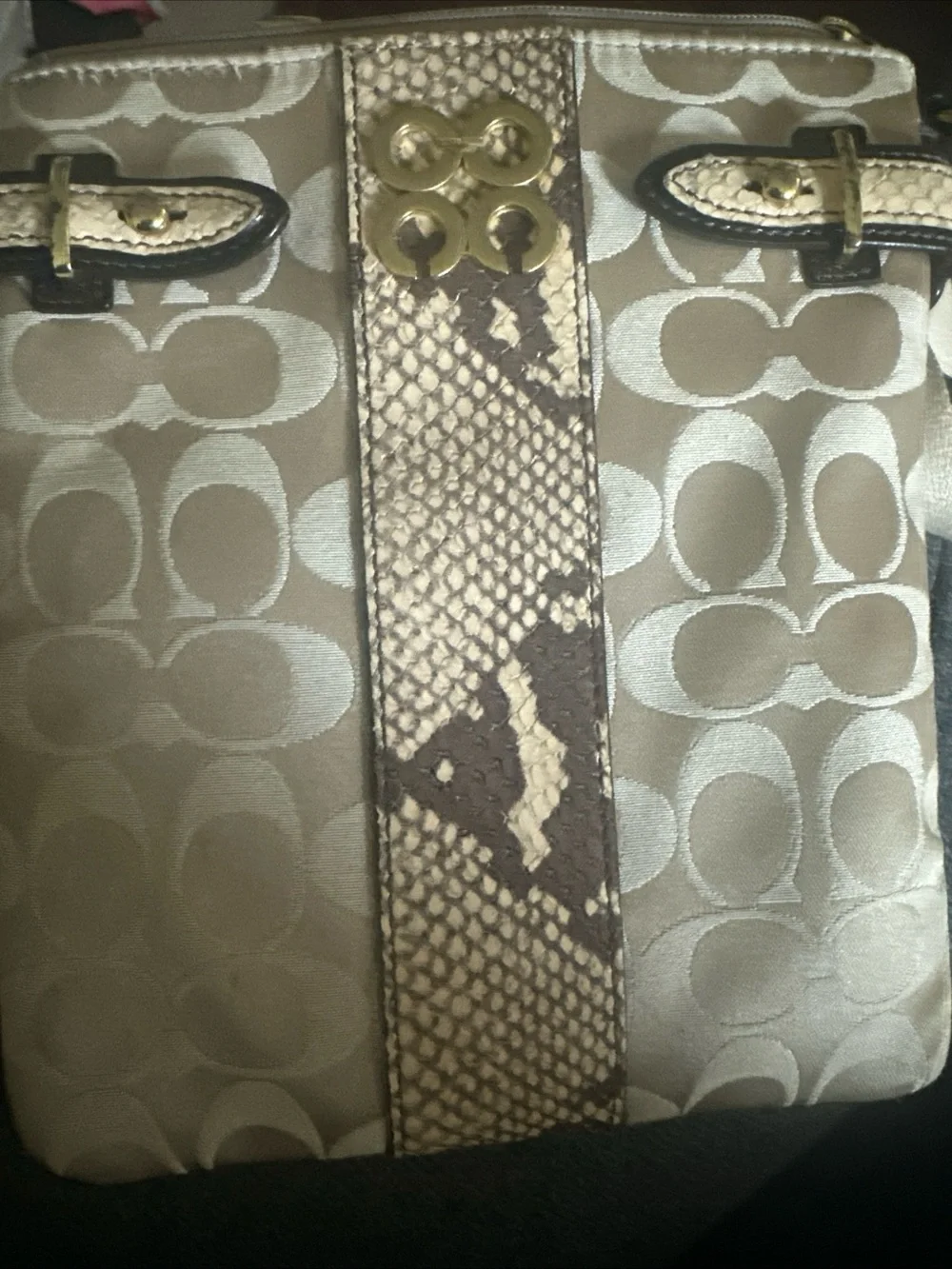 Coach crossbody beige